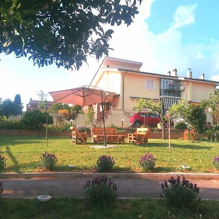 Hotel Da Piero E Gina Palidoro Exteriér fotografie